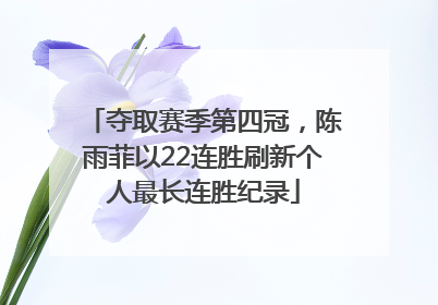 夺取赛季第四冠，陈雨菲以22连胜刷新个人最长连胜纪录