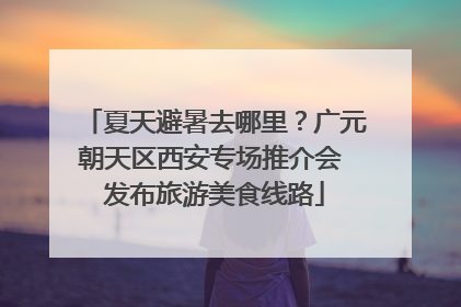 夏天避暑去哪里？广元朝天区西安专场推介会 发布旅游美食线路