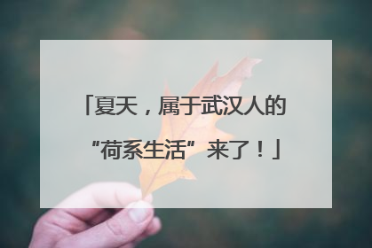 夏天，属于武汉人的“荷系生活”来了！