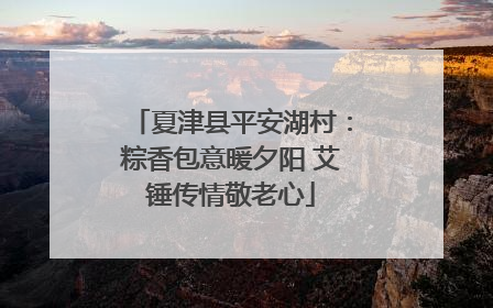 夏津县平安湖村：粽香包意暖夕阳 艾锤传情敬老心