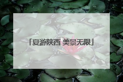 夏游陕西 美景无限