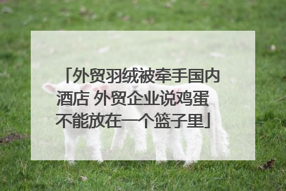 外贸羽绒被牵手国内酒店 外贸企业说鸡蛋不能放在一个篮子里