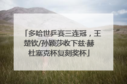多哈世乒赛三连冠，王楚钦/孙颖莎收下兹·赫杜塞克杯复刻奖杯