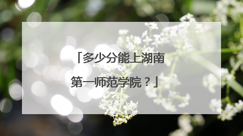 多少分能上湖南第一师范学院？