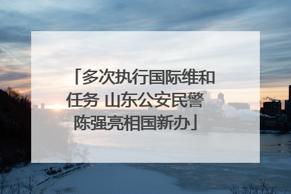 多次执行国际维和任务 山东公安民警陈强亮相国新办