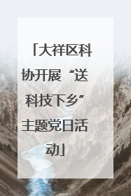大祥区科协开展“送科技下乡”主题党日活动