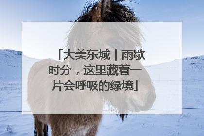 大美东城｜雨歇时分，这里藏着一片会呼吸的绿境