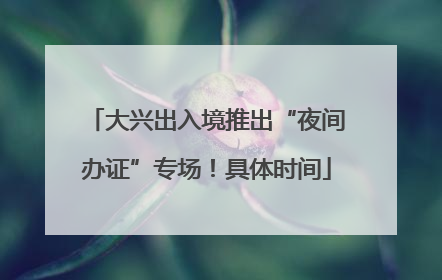 大兴出入境推出“夜间办证”专场！具体时间