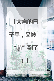 大喜的日子里，又被“萌”到了！