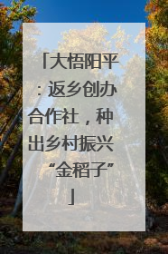 大悟阳平：返乡创办合作社，种出乡村振兴“金稻子”