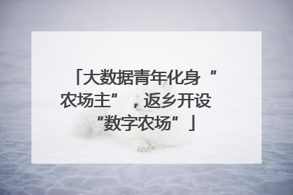 大数据青年化身“农场主”，返乡开设“数字农场”