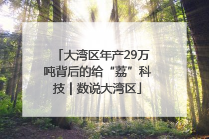 大湾区年产29万吨背后的给“荔”科技｜数说大湾区