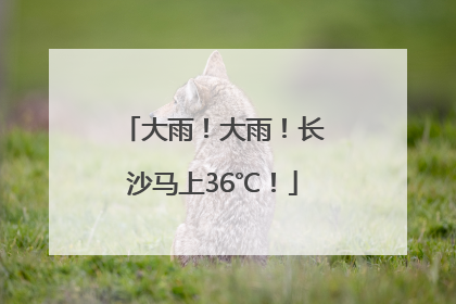 大雨！大雨！长沙马上36℃！