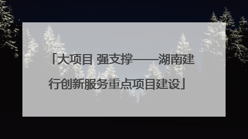 大项目 强支撑——湖南建行创新服务重点项目建设