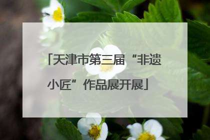 天津市第三届“非遗小匠”作品展开展