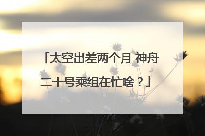 太空出差两个月 神舟二十号乘组在忙啥？
