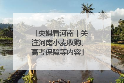 央媒看河南｜关注河南小麦收购、高考保障等内容
