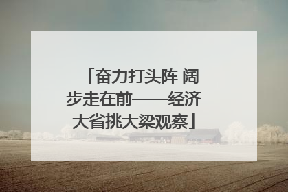 奋力打头阵 阔步走在前——经济大省挑大梁观察