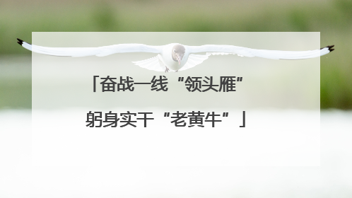 奋战一线“领头雁” 躬身实干“老黄牛”
