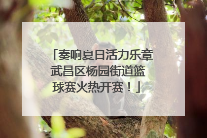 奏响夏日活力乐章 武昌区杨园街道篮球赛火热开赛！