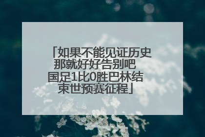 如果不能见证历史 那就好好告别吧 国足1比0胜巴林结束世预赛征程