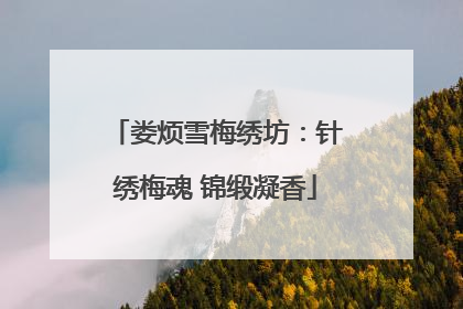娄烦雪梅绣坊：针绣梅魂 锦缎凝香