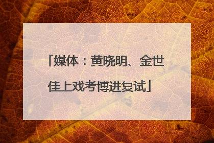 媒体：黄晓明、金世佳上戏考博进复试