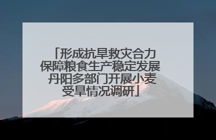 形成抗旱救灾合力 保障粮食生产稳定发展 丹阳多部门开展小麦受旱情况调研