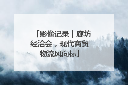 影像记录｜廊坊经洽会，现代商贸物流风向标