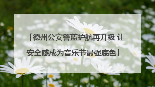 德州公安警蓝护航再升级 让安全感成为音乐节最强底色