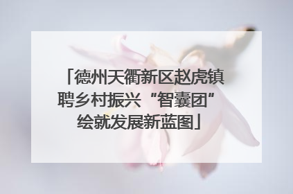 德州天衢新区赵虎镇聘乡村振兴“智囊团” 绘就发展新蓝图