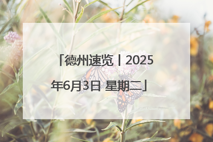 德州速览丨2025年6月3日 星期二