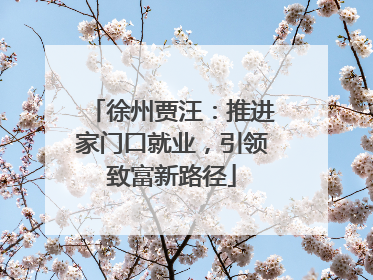徐州贾汪：推进家门口就业，引领致富新路径