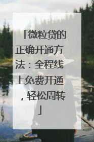 微粒贷的正确开通方法：全程线上免费开通，轻松周转