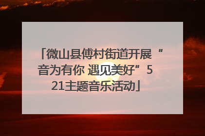 微山县傅村街道开展“音为有你 遇见美好”521主题音乐活动
