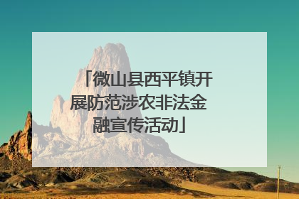 微山县西平镇开展防范涉农非法金融宣传活动
