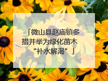 微山县赵庙镇多措并举为绿化苗木“补水解渴”