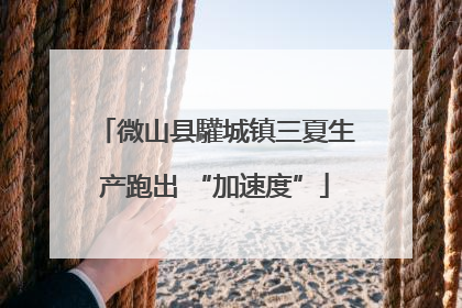 微山县驩城镇三夏生产跑出 “加速度”