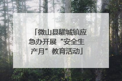 微山县驩城镇应急办开展“安全生产月”教育活动