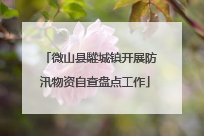 微山县驩城镇开展防汛物资自查盘点工作