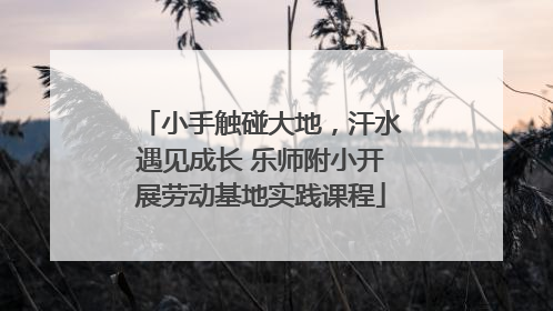 小手触碰大地，汗水遇见成长 乐师附小开展劳动基地实践课程