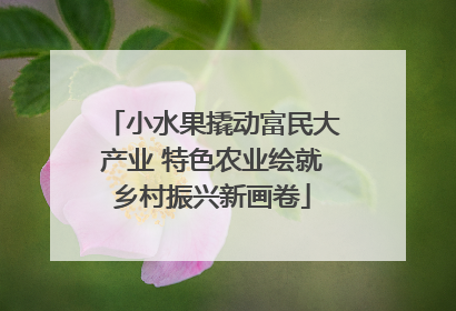 小水果撬动富民大产业 特色农业绘就乡村振兴新画卷