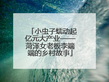 小虫子蠕动起亿元大产业——菏泽女老板李端端的乡村故事