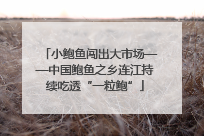 小鲍鱼闯出大市场——中国鲍鱼之乡连江持续吃透“一粒鲍”