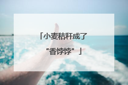 小麦秸秆成了“香饽饽”
