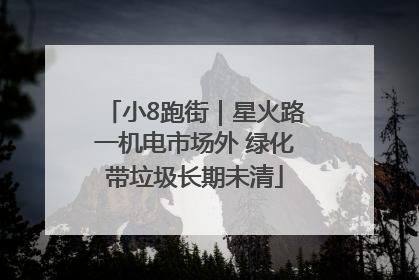 小8跑街｜星火路一机电市场外 绿化带垃圾长期未清