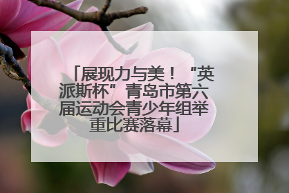 展现力与美！“英派斯杯”青岛市第六届运动会青少年组举重比赛落幕