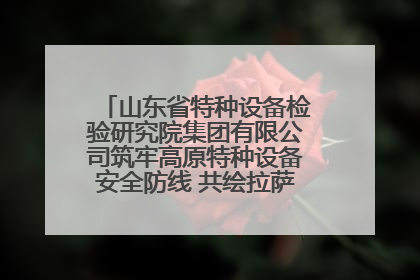 山东省特种设备检验研究院集团有限公司筑牢高原特种设备安全防线 共绘拉萨美好生活画卷
