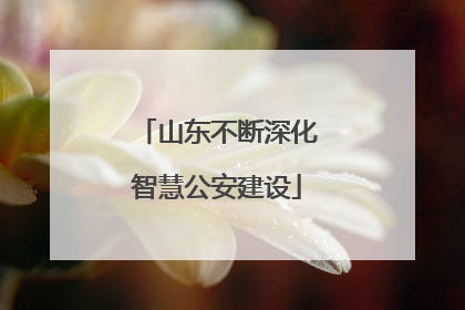 山东不断深化智慧公安建设
