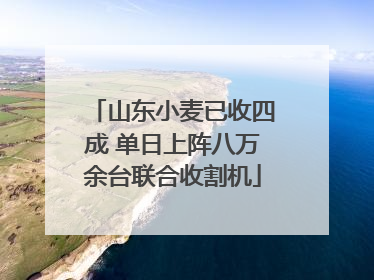 山东小麦已收四成 单日上阵八万余台联合收割机